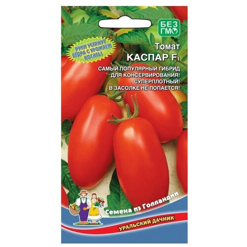 ������ ������ ������ ��������� ������ ����� ������ F1 12 �� ����