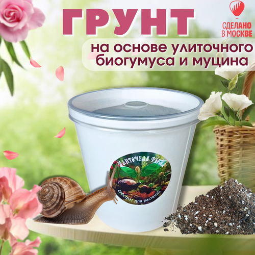 ������ ������ �������� �1. ��������� ����� �. ������������� ����� ��� ��������, ��������� ����