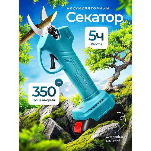 ������ ������ ������� ��������������, �������, � 2 ��� ����