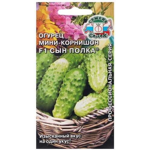 ������ ������ ������ ������ 