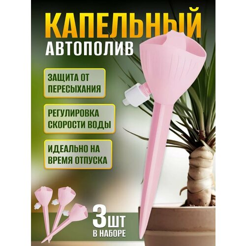 ������ ������ ��������� ��� ��������� �������� ��������� ����� ����