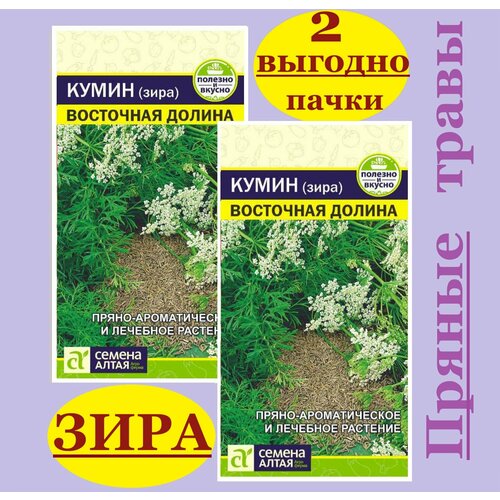 ������ ������ ������ ������ ���� (2 �����* 1 �) ����