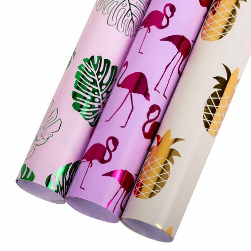 ������ ������ ������ ����������� � ��������� ����� 3 ��. 