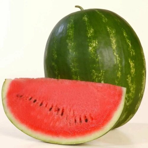 ������ ������ ������ ������ 