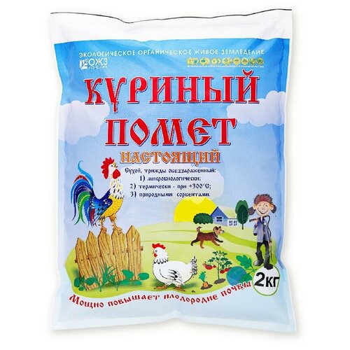 ������ ������ ��������� �������� ������� - 1 ������� ����� ���������, 2 �, 2000 �, 1 ��. ����