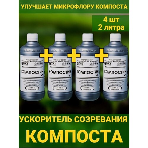 ������ ������ ���������, 2� ���������� ���������� �������� ����