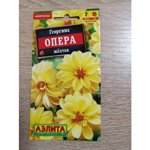 ������ ������ �������� ����� ������ ��. � 7 ����� ����