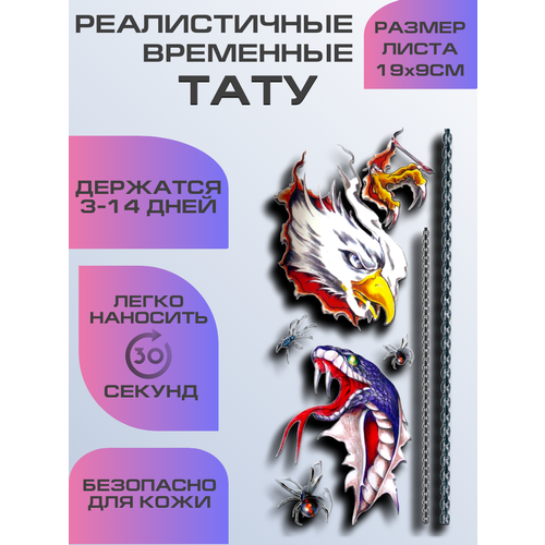 ������ ������ ���� ���������� ��������������, ��������� ���� ����