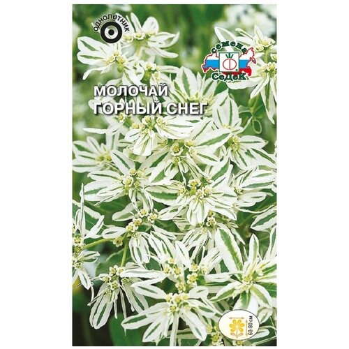 ������ ������ ������ ����� ������� ������ ���� ����