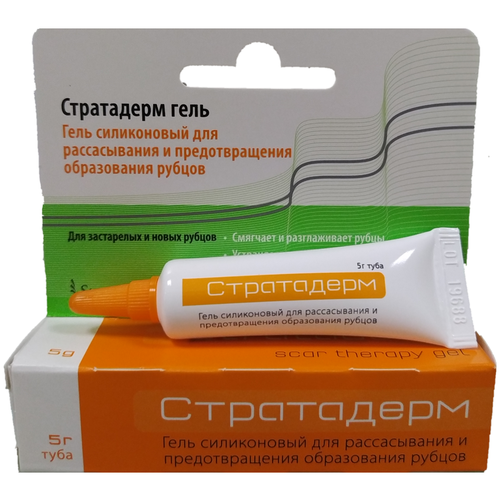 ������ ������ ���������� ����, 5 � ����