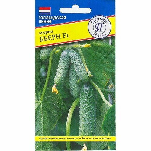 ������ ������ ������ ������ ����� F1 5 �� (�����) (���������) (�������) ����