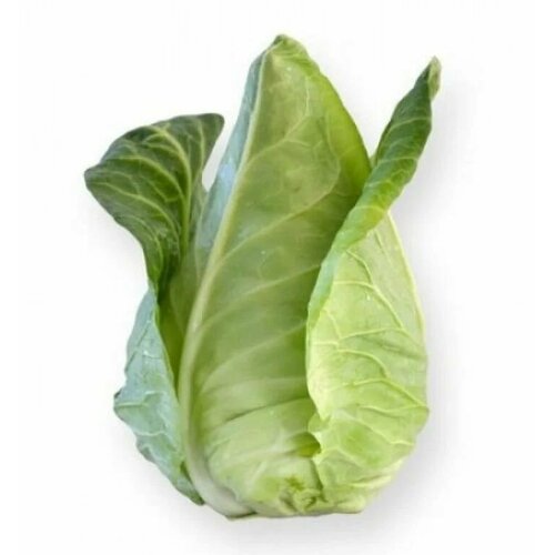 ������ ������ ������������� ������ ������� �/� ���������� ������ F1 ����