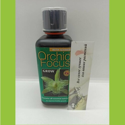     Orchid Focus Grow  300   -     , -,   