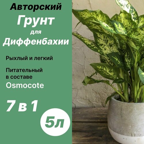 ������ ������ ����� ��� ����������� 5� / ������� ����