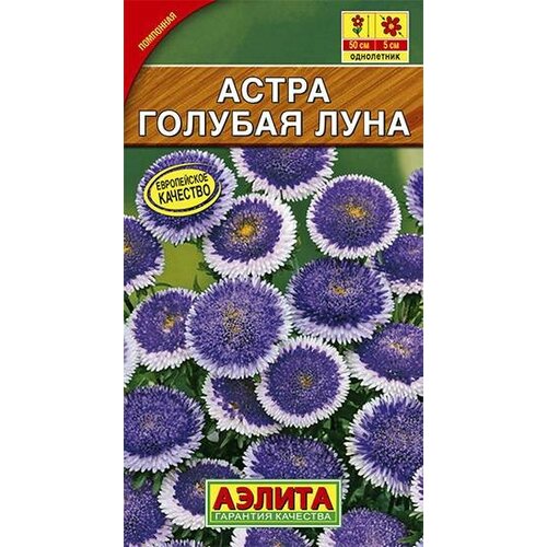 ������ ������ ������ ����� ������� ���� ��������� 0.1� ��� 50�� (������) ����