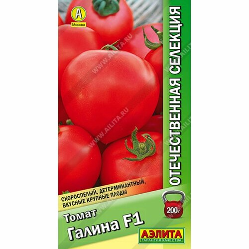 ������ ������ ������ ����� ������ F1 (������) 10�� ������������� �������� ����