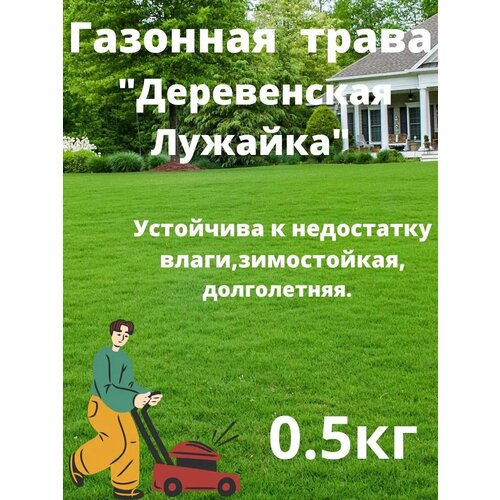 ������ ������ ������ 