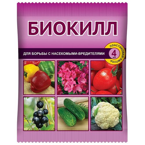 ������ ������ ���� ��������� �������� ��� ������ �������� �� ���������� �������, 4 ��, 8000 � ����