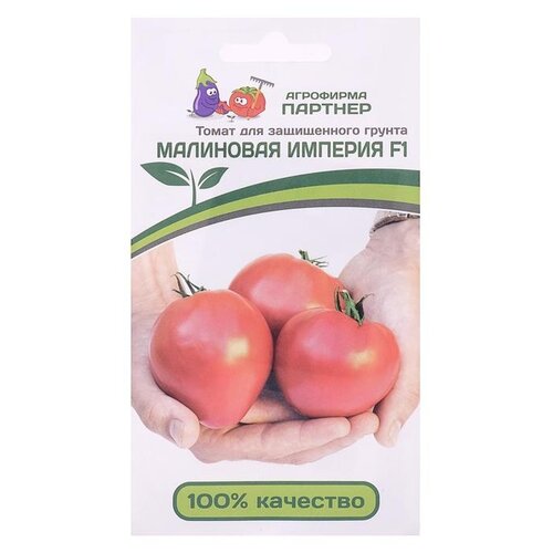 ������ ������ ������ ��������� ������� ����� ��������� ������� F1 10 ��. ����