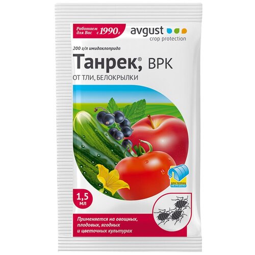 ������ ������ Avgust �������� ������ �� ��� � ����������, 1.5 �� ����