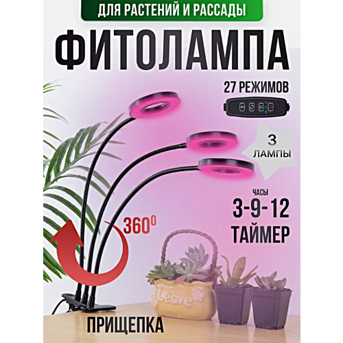 ������ ������ ��������� ��������� ��� �������� � �������, ���������������� ����� �� �������� ��� �������� ����, ����, 3 ����� ����