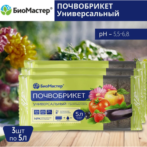 ������ ������ �������� ����������� ������������� �� ��������� ����� 5 � 3 ����� ����