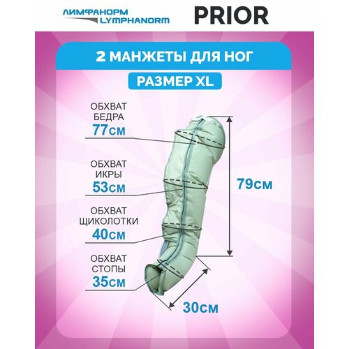 ������ ������ ������� ��� ������������ � ������������� LymphaNorm (���������) PRIOR (������ L). �������������� �������� ��� ��� ����