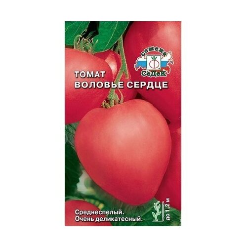 ������ ������ ������ ����� ����� ������� ������ 0,1 �� ����