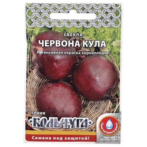 ������ ������ ������. ������ 