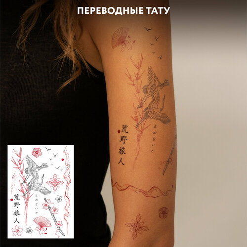 ������ ������ MIAMITATS ���������� ���� Stork (middle) ����