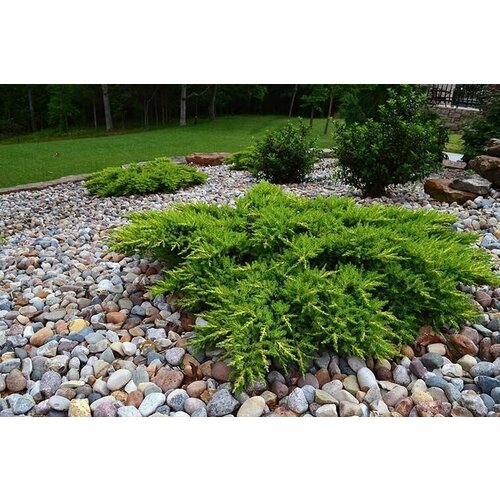 ������ ������ ������������ ������������ ���� ������ ����