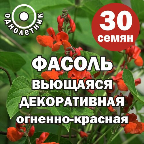 ������ ������ ������ ������ ������������ ����