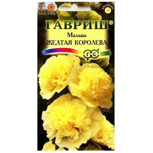 ������ ������ ������ ������ ������ ������ �������� 0.1 � ����