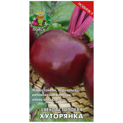 ������ ������ ������ ����� ������ �������� ��������� 3 � ����