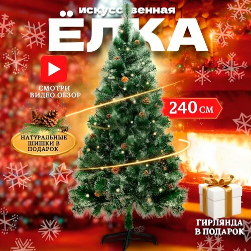 ������ ������ ������������� ���� ���������, �� ���, 240 ��, ��������, ����� ����