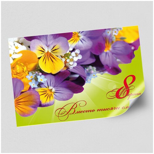 ������ ������ ����������/������ �������������� �� 8 �����, ������ �-2 (60x42 ��.) ����