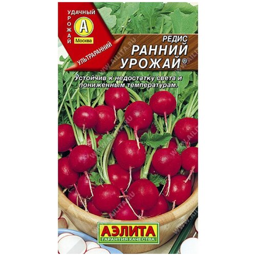 ������ ������ ����� 