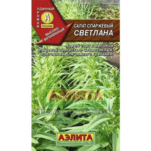 ������ ������ ����� ��������� 