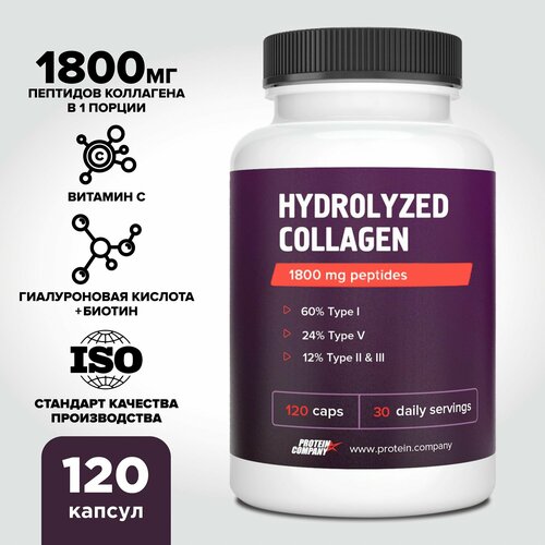 ������ ������ �������� ���������� � ������������ �������� � ��������� � 1800 �� ��������. ��� ��������, ������, �����.120 ������ ����