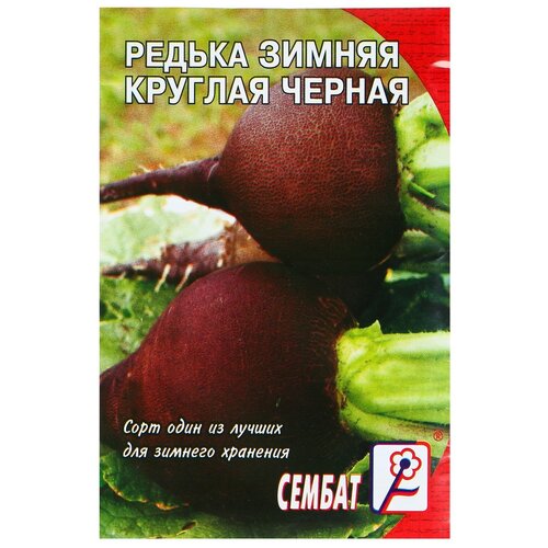 ������ ������ ������ ������ 