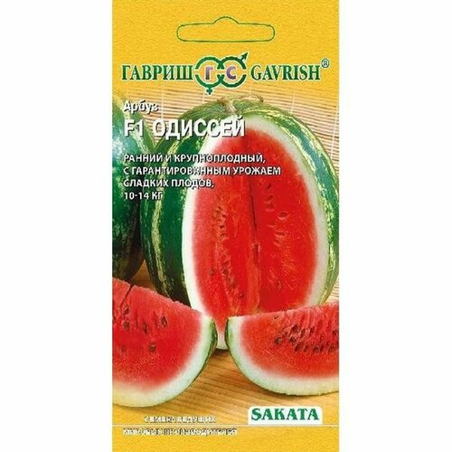 ������ ������ ������ ����� ������� F1 (�����������) (������) 5�� ����