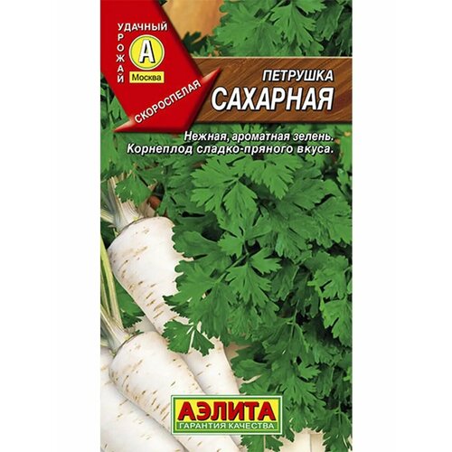 ������ ������ �������� �������� 