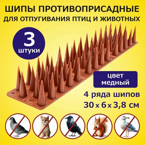 ������ ������ ���� ���������������� ����������� ��� ������ �� ���� � �������� ��� ������ 3 ������ ����