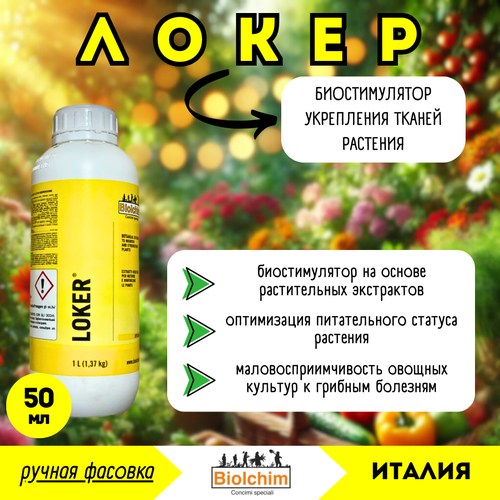 ������ ������ ����� (Biolchim), ���������� �����, 50�� (������ �������) - ���������� ����� ����