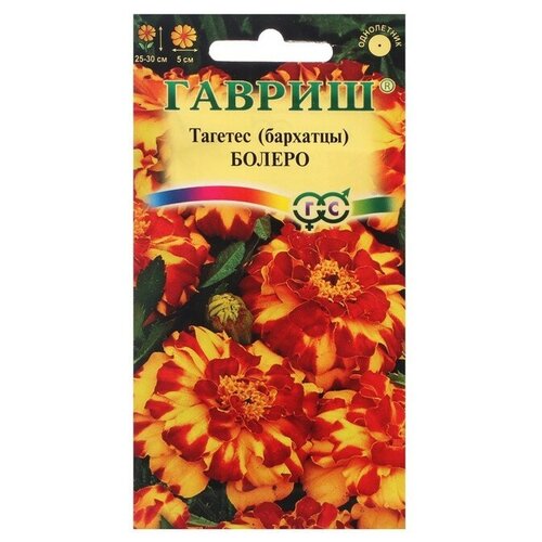 ������ ������ ������ ������ �������� ����������� (�������) 