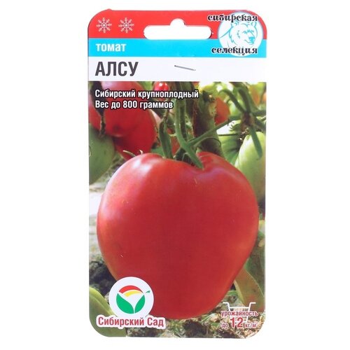 ������ ������ ������ ��������� ��� ����� ���� 20 ��. ����