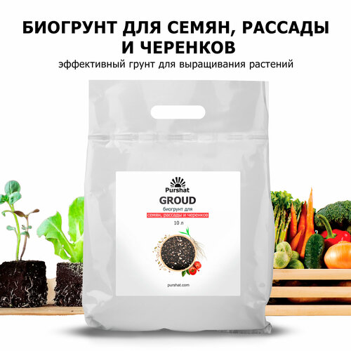 ������ ������ �������� ������ 10 � � ��������� ������� ��� ����� � �������, �������� ����� �������� ����