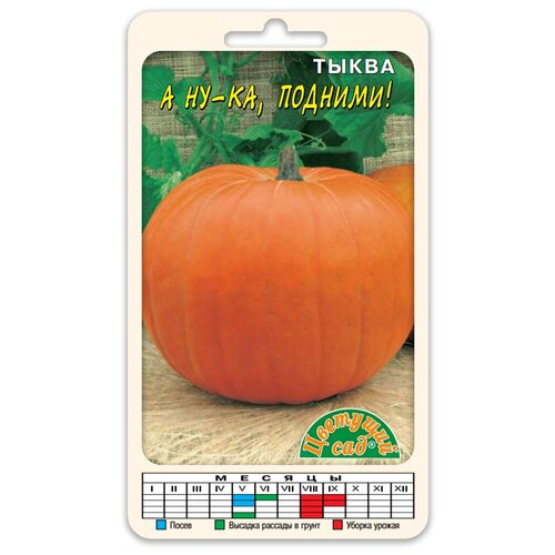 ������ ������ ����� 