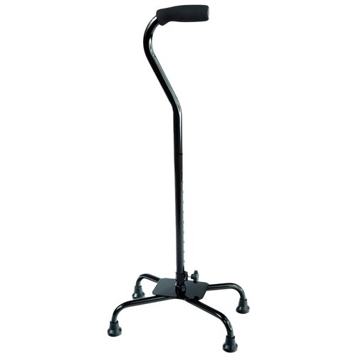 ������ ������ ������ �������������� C Qlever L ����