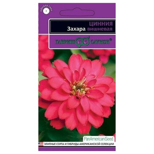 ������ ������ ������. ������ 